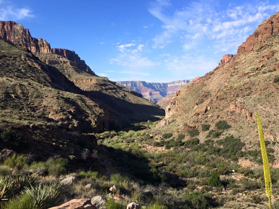 Grand Canyon Bottom